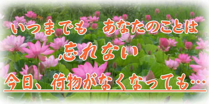 蓮の花の中で「いつまでも　あなたのことは忘れない　今日荷物がなくなっても」遺品整理回収イメージ